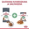 Royal Canin Digestive Care Gravy Adult kissan märkäruoka