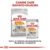 Royal Canin Coat Care Mini Adult koiran kuivaruoka