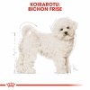 Royal Canin Bichon Frisé Adult koiran kuivaruoka