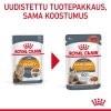 Royal Canin Hair & Skin Care Gravy Adult kissan märkäruoka