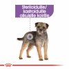 Royal Canin Sterilised Mini Adult koiran kuivaruoka