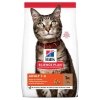Hills Science Plan Cat Adult Lamb & Rice