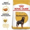 Royal Canin Rottweiler Adult koiran kuivaruoka