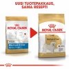 Royal Canin Bichon Frisé Adult koiran kuivaruoka