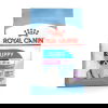 Royal Canin Giant Puppy koiranpennun kuivaruoka