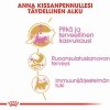 Royal Canin Maine Coon Kitten kissanpennun kuivaruoka