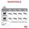 Royal Canin Dental Care Adult kissan kuivaruoka