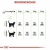 Royal Canin Digestive Care Adult kissan kuivaruoka