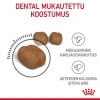 Royal Canin Dental Care Adult kissan kuivaruoka