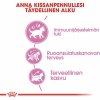 Royal Canin Kitten kissanpennun kuivaruoka