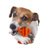 All for Paws Dental Rubber kumikaktus M oranssi