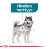 Royal Canin Joint Care Maxi Adult koiran kuivaruoka