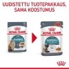 Royal Canin Hairball Care Gravy Adult kissan märkäruoka