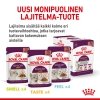 Royal Canin Sensory Smell Gravy Adult kissan märkäruoka 12x85g