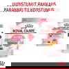 Royal Canin Kitten Jelly kissanpennun märkäruoka 12x85 g