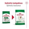 Royal Canin Mini Adult koiran kuivaruoka