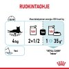 Royal Canin Sensory Feel Gravy Adult kissan märkäruoka 12x85g