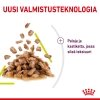 Royal Canin Sensory Smell Gravy Adult kissan märkäruoka 12x85g