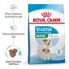 Royal Canin Mini Starter koiran ja koiranpennun kuivaruoka