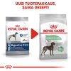 Royal Canin Digestive Care Maxi Adult koiran kuivaruoka