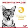 Royal Canin Sensory Mixed Box Gravy Adult kissan märkäruoka 12x85g