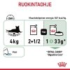 Royal Canin Digestive Care Gravy Adult kissan märkäruoka
