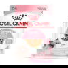 Royal Canin Kitten Gravy kissanpennun märkäruoka 12x85 g