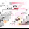 Royal Canin Kitten Sterilised kissanpennun kuivaruoka