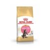 Royal Canin Maine Coon Kitten kissanpennun kuivaruoka