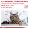 Royal Canin Veterinary Cat Vital Renal Loaf 12x85 g