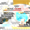 Royal Canin Yorkshire Terrier Puppy koiranpennun kuivaruoka