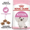 Royal Canin Kitten kissanpennun kuivaruoka