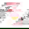 Royal Canin Kitten Jelly kissanpennun märkäruoka 12x85 g