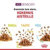 Royal Canin Sensory Mixed Box Gravy Adult kissan märkäruoka 12x85g