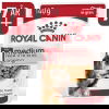 Royal Canin Medium Ageing Gravy koiran märkäruoka 10x140g