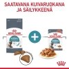 Royal Canin Hairball Care Gravy Adult kissan märkäruoka