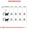 Royal Canin Dental Care Adult kissan kuivaruoka