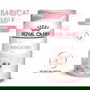 Royal Canin Babycat Milk maito kissanpennulle 300 g