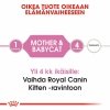 Royal Canin Mother & Babycat kissan ja kissanpennun kuivaruoka