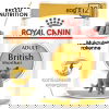 Royal Canin British Shorthair Adult Gravy kissan märkäruoka 12 x 85 g