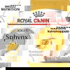 Royal Canin Sphynx Adult kissan kuivaruoka
