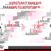 Royal Canin Kitten kissanpennun kuivaruoka