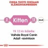 Royal Canin Kitten Gravy kissanpennun märkäruoka 12x85 g