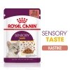 Royal Canin Sensory Taste Gravy Adult kissan märkäruoka 12x85g