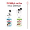 Royal Canin X-Small Adult Gravy koiran märkäruoka 12x85g