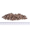 Brit Care Mini Grain Free Adult Hair & Skin (2 kg)