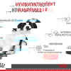 Royal Canin Giant Puppy koiranpennun kuivaruoka