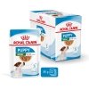Royal Canin Mini Puppy koiranpennun märkäruoka 12x85g