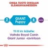 Royal Canin Giant Puppy koiranpennun kuivaruoka