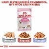 Royal Canin Kitten kissanpennun kuivaruoka